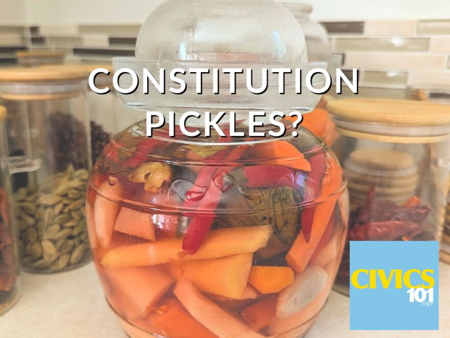 What's the difference between the House and the Senate? How do landmark Supreme Court decisions affect our lives? What does the 2nd Amendment really say? Civics 101 is the podcast about how our democracy works…or is supposed to work, anyway.