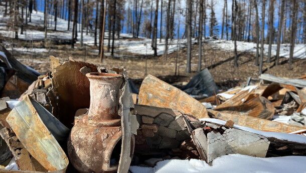 New Mexico state Rep. Anita Gonzales (D-Las Vegas) on Oct. 28, 2026, provided early details of a bill she intends to introduce that aims to give homeowners more information about how insurers determine whether a home is at too high a wildfire risk to justify coverage.