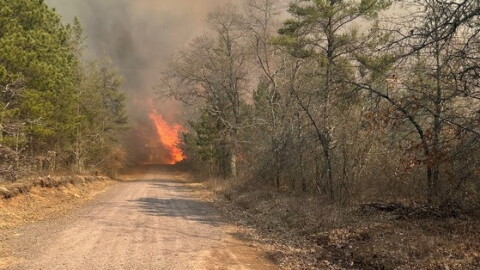 The Wisconsin DNR has responded to 122 fires this week – the most active wildfire week this season.