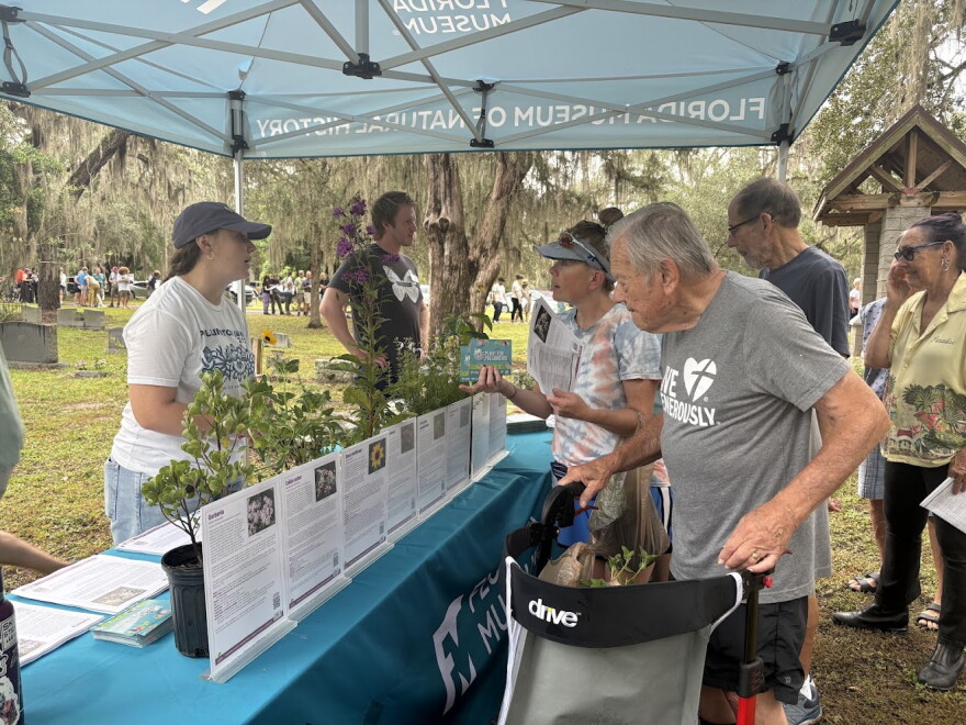 Attendees first stopped by the Florida Museum tent to pick up their plant before picking up a tree.