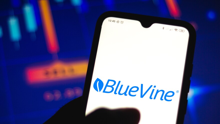 A congressional report found financial technology companies, or fintechs, largely fueled PPP loan fraud. Bluevine, a fintech noted in the report, told NPR it adapted to threats of fraud better than other companies mentioned.