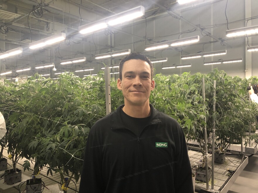 Adrien Alvarez is the cultivator's crop director.