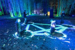 PICTURES - EEFH StarryLights2.jpg