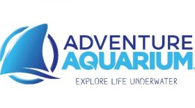 Adventure Aquarium