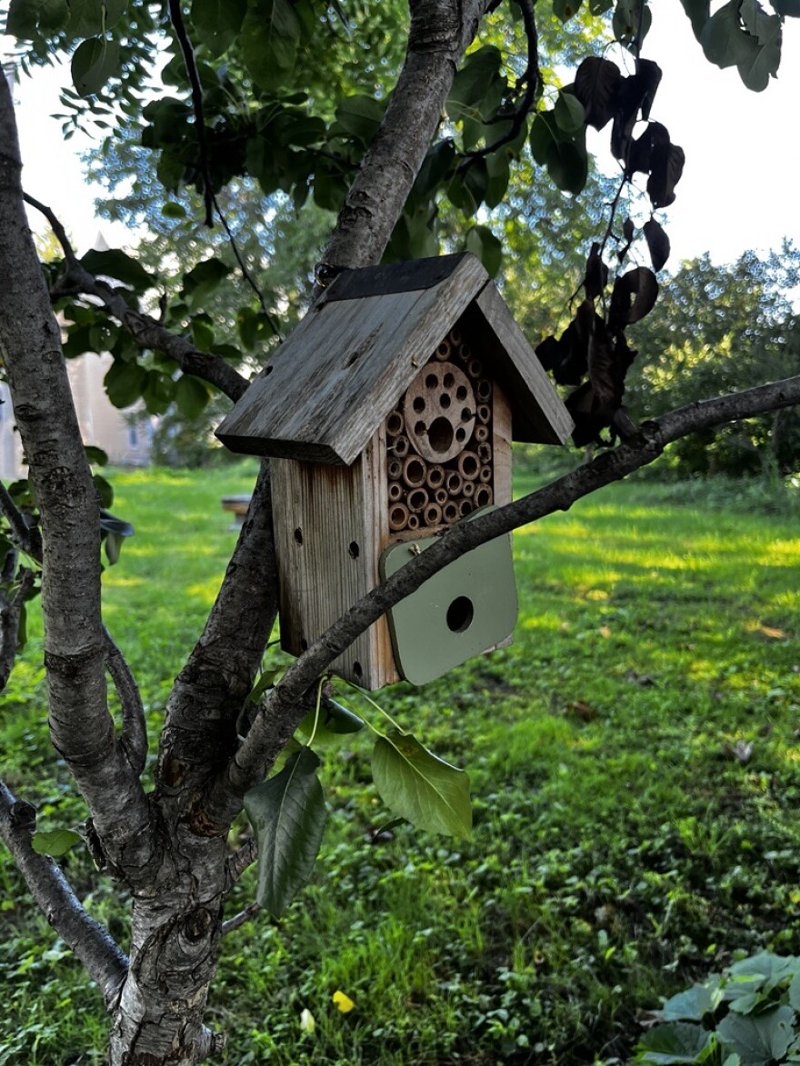 A small bee hotel sits in a tree at the M. K. Gandhi Institute for Nonviolence. As part of a bee habitat project, larger versions of these will be installed on the site.