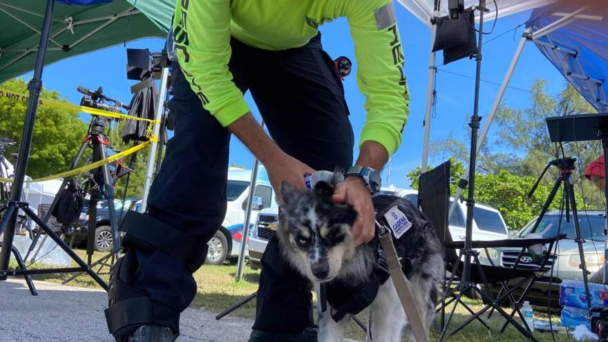 Moises and Oreo.jpegMoises Soffer, a volunteer rescuer with Cadena International, cools down Oreo, a dog trained to recover living victims, on Sunday, June 27, 2021, near the scene of the Champlain Towers collapse in Surfside, Florida.