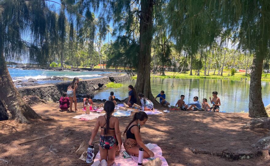 Waiuli Beach Park on Hawaiʻi Island.