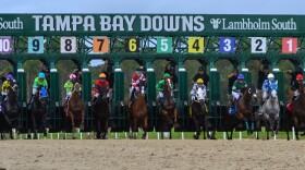 horses take off out of the starting gate on a race track