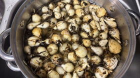 Camas is a key traditional food for the Nimíipuu and digging for it is also a way of connecting to the land