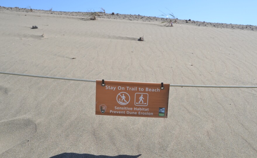 A rectangular brown sign warns people to 'Stay On Trail to Beach' to protect sensitive dune habitats
