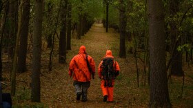 The Wisconsin Department of Natural Resources reports so far this season's gun deer count is slightly up from 2024.