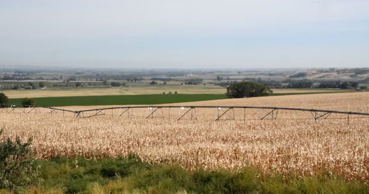 Two Oregon agencies are helping local governments communicate the need to conserve water as drought intensifies