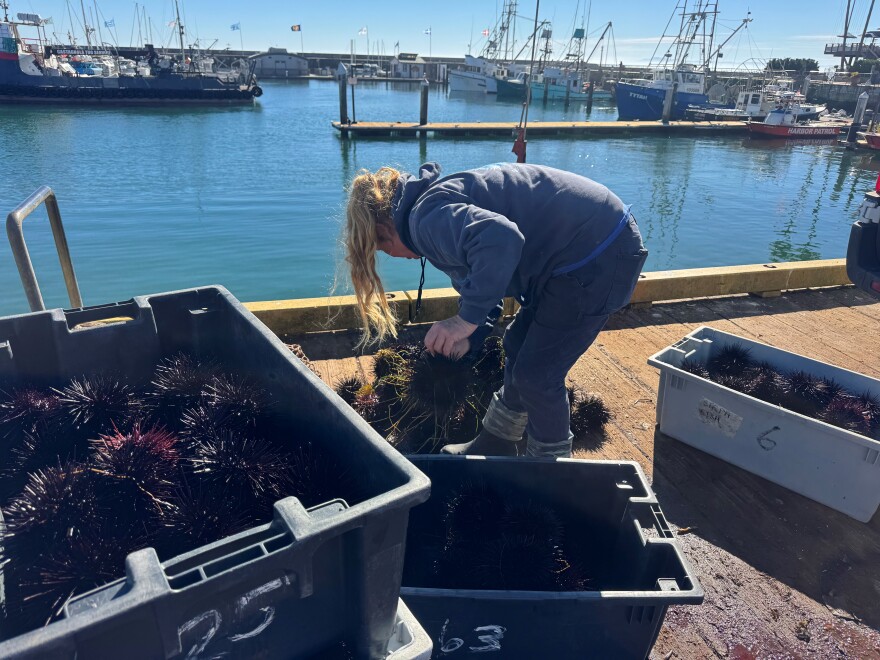 She says you 'gotta love' the job because it's hard work