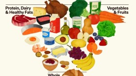 The 2026 food pyramid promoted by the USDA.