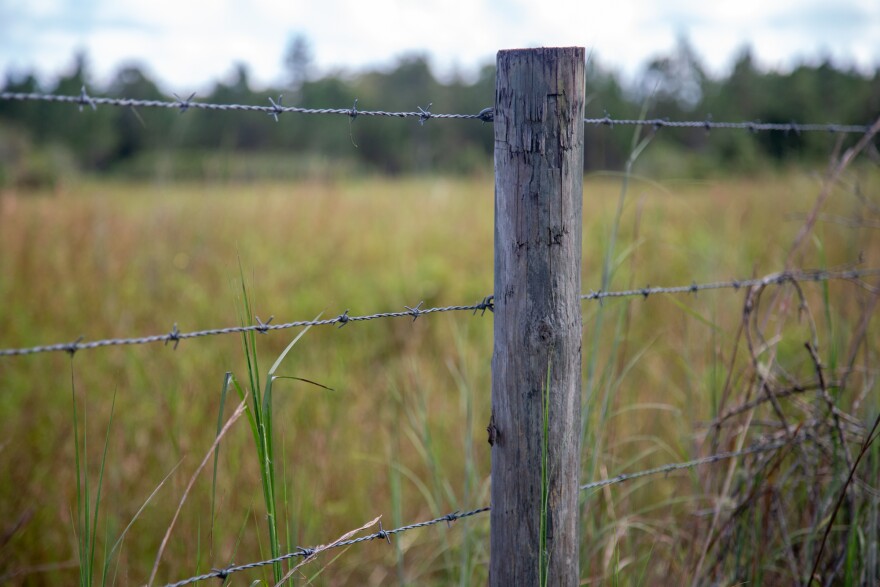 Orange County’s proposed "Vision 2050" framework, to be carried out through the new Orange Code, aims to protect existing rural areas in the county by directing most future development toward highly-populated areas already served by infrastructure.