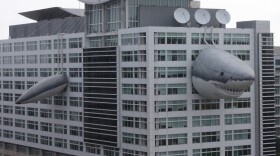 Chompie, a giant inflatable shark that measures 446 feet long, peeks out of the global headquarters building of Discovery Communications.