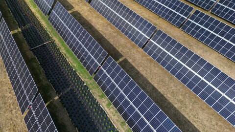 Charlie and Sarah Remelt with their son Parker Remelt and future daughter in-law, Allison, on their family farm in Henrietta that a portion of the farmland is now leased to the solar company, Delaware River Solar. The Remelt's are trying to find ways to farm between the solar array.