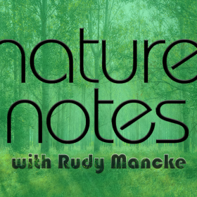 NatureNotes large promo