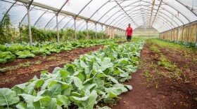 safdsa. (March 17,2026)