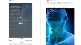 Facebook labels posts that its fact checkers have found false, as in the screenshot on the left. On the right, a similar post had no label applied.