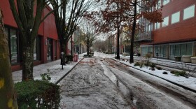 Few are out the morning of Wednesday, Jan.17 after days of freezing rain and power outages. Roads and sidewalks remain slick and most businesses and government offices remain closed.