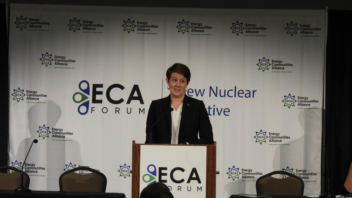 Experts, officials push nuclear energy future at Paducah forum - Vimarsana News