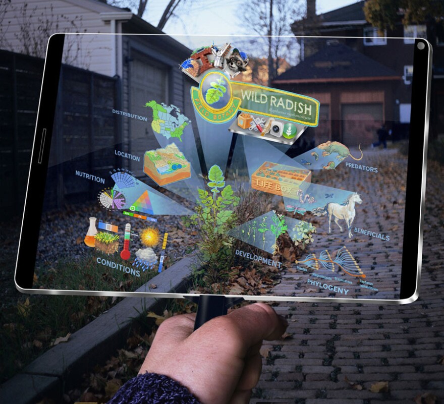 Augmented reality allows a user to identify an object from the real world — in this case, a plant — and digitally interact with it.