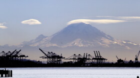 Cranes in front of Mount Rainier. 
