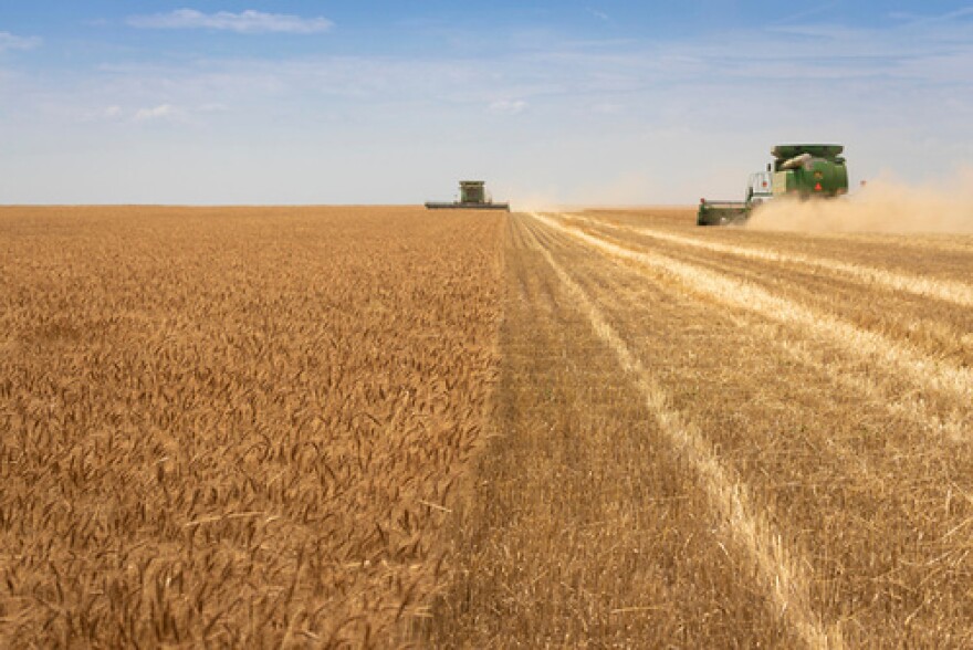 In 2023, the state produced 68.6 million bushels of wheat, according to the U.S. Department of Agriculture.