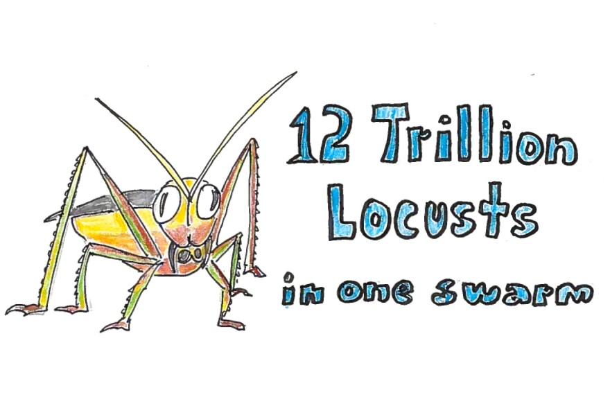 Imagine 12 trillion locusts in one swarm.