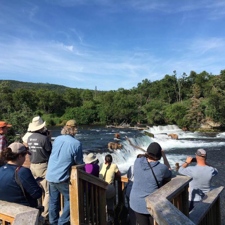 Tourists watch brown bears at Brooks Falls. (Photo by Mitch Borden, KMXT - Kodiak)