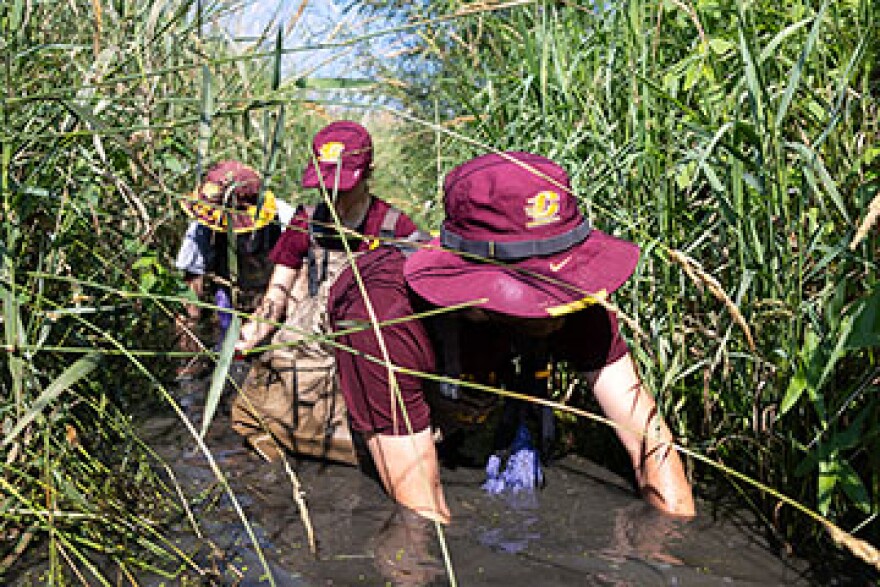 Aaron Vlasak doing field research in the Tittabawassee watershed