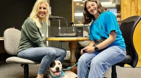 Robin Coleman and Bella Slosberg bring an adoptable guest to the interview. His name is Pixel.