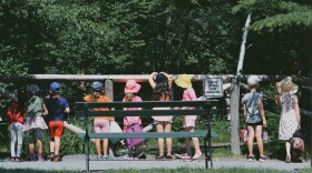 Children stand by a fence at a zoo.