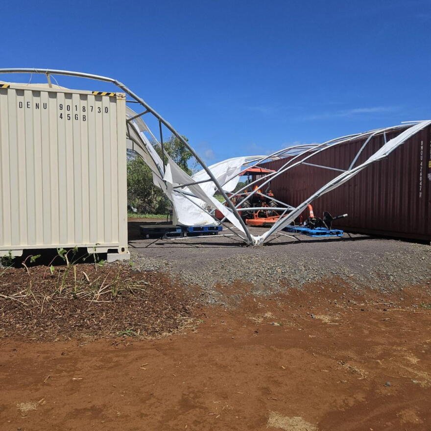 A nursery for young trees operated by the nonprofit Mālama Kauaʻi was destroyed during Hurricane Lowell. (September 8, 2026).