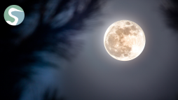 Copy of Full Moon Hike.png