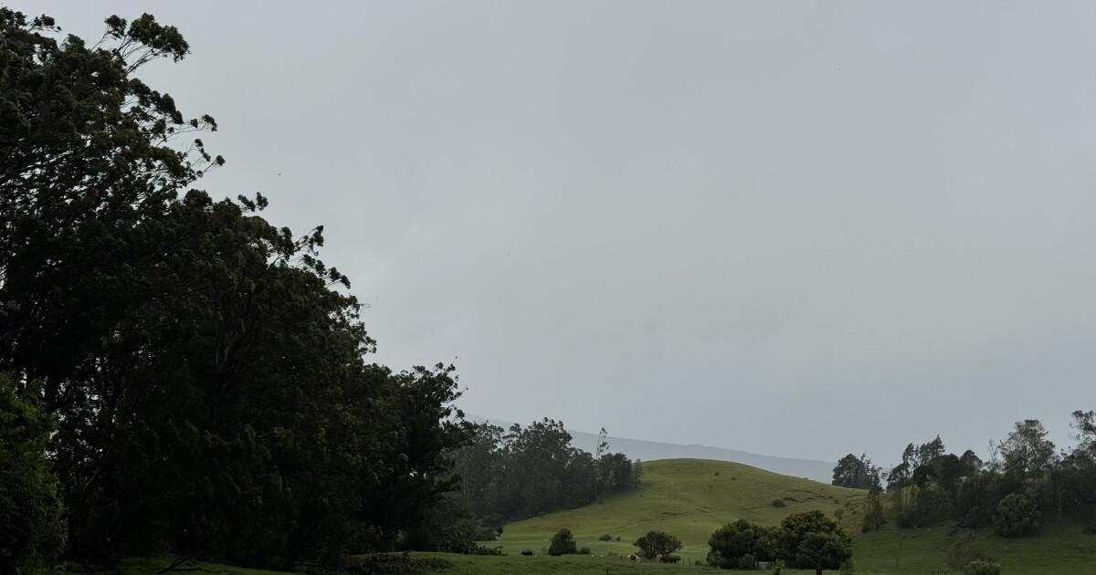 Hawaiʻi Island saw torrential rain. Why are there water shortages?