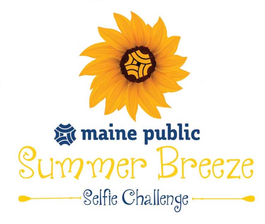 Summer Breeze Selfie Challenge logo