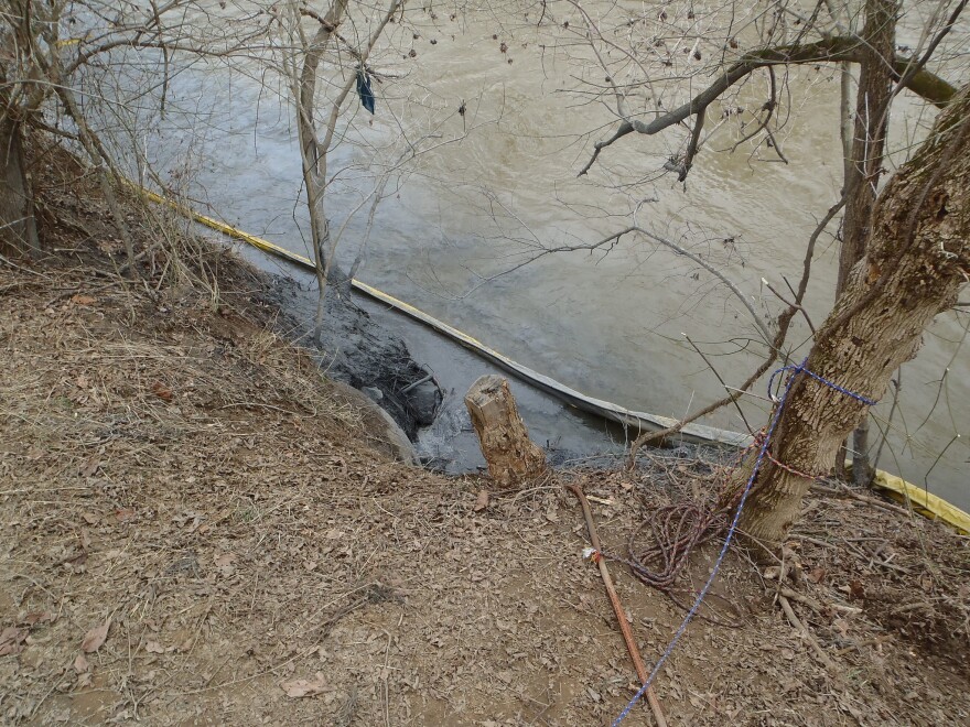 The Dan River bank with residual dark grey coal ash.