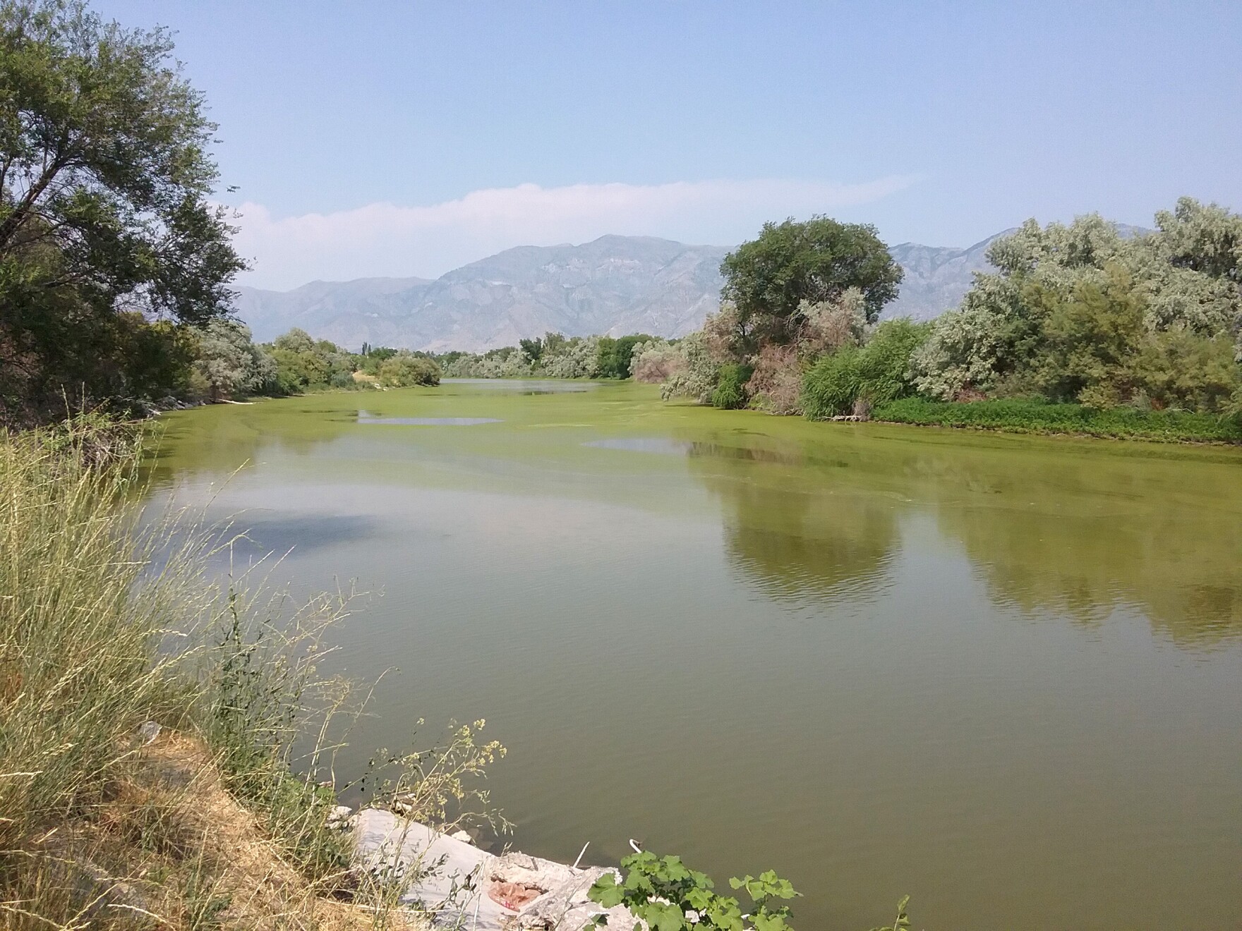 'The History Of The Bear River' on Wild About Utah Utah Public Radio