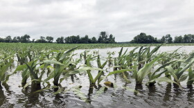 Flooding can cause Phosphorus and other chemicals to runoff into nearby waterways.