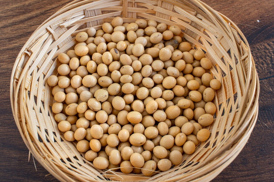 Basket with soybeans