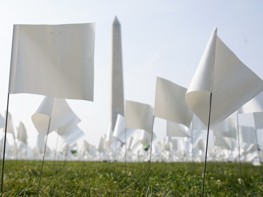 White flags stand near the Washington Monument on Tuesday. The flags, which will number more than 630,000 when the temporary art installation on the National Mall is completed, are part of artist Suzanne Brennan Firstenberg's <em>In America: Remember</em>, honoring Americans who have died of COVID-19.