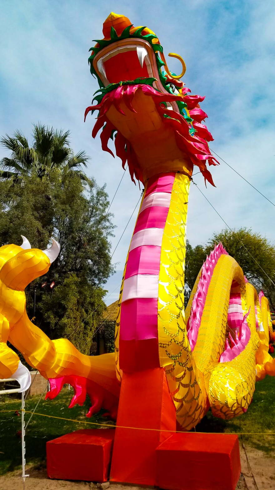 Dragon Lantern Festival