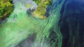 Aerial View of Blue-Green Algae Bloom at the Alva Boat Ramp