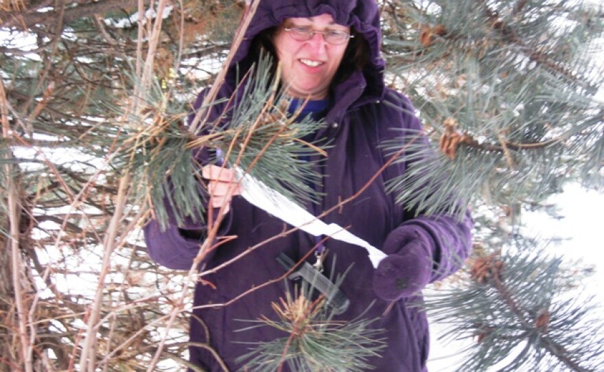 Laura McCumber makes a find