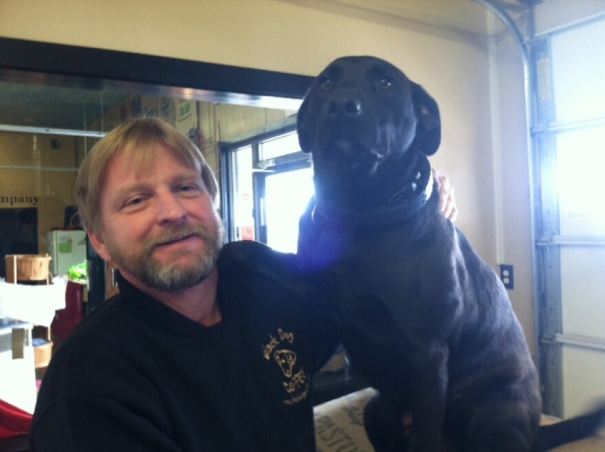 black_dog_pic_6.jpg