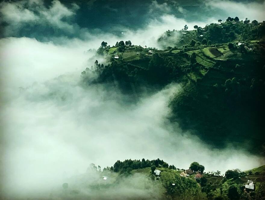 The area outside the Biwindi Impenetrable Forest