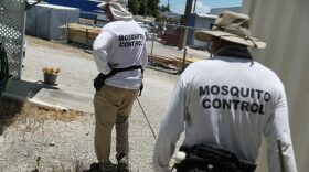 Billy Ryan and Meredith Kruse (L-R) with the Florida Keys mosquito control department inspect a neighborhood for any mosquitos or areas where they can breed as the county works to eradicate mosquitos carrying dengue fever  in Key Largo, Florida.