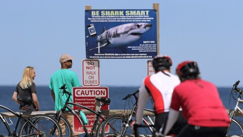 Cyclist stand in front of a sign warning beachgoers about sharks at Lecount Hollow Beach on May 22, 2019, in Wellfleet, Massachusetts.
